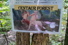 Centaur-